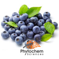 Factory supply Organic blueberry juice extract powder